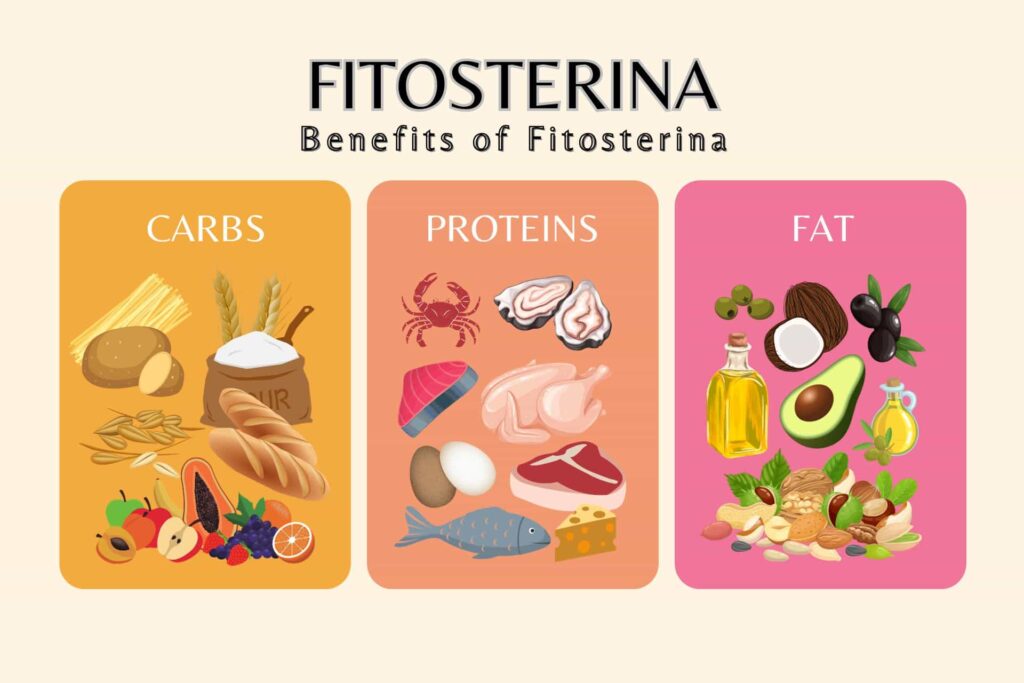 Fitosterina: The Natural Way to Boost Your Health and Wellness
