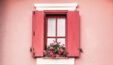 a window with a red frame and a plant in it