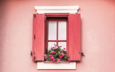 a window with a red frame and a plant in it