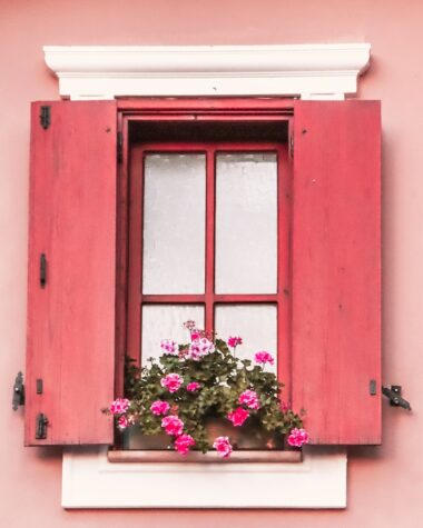 a window with a red frame and a plant in it