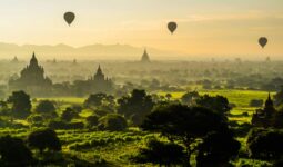 a group of hot air balloons in the sky