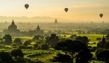 a group of hot air balloons in the sky