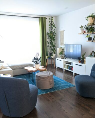 gray sofa chair near green potted plant